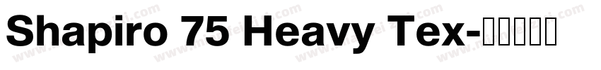 Shapiro 75 Heavy Tex字体转换